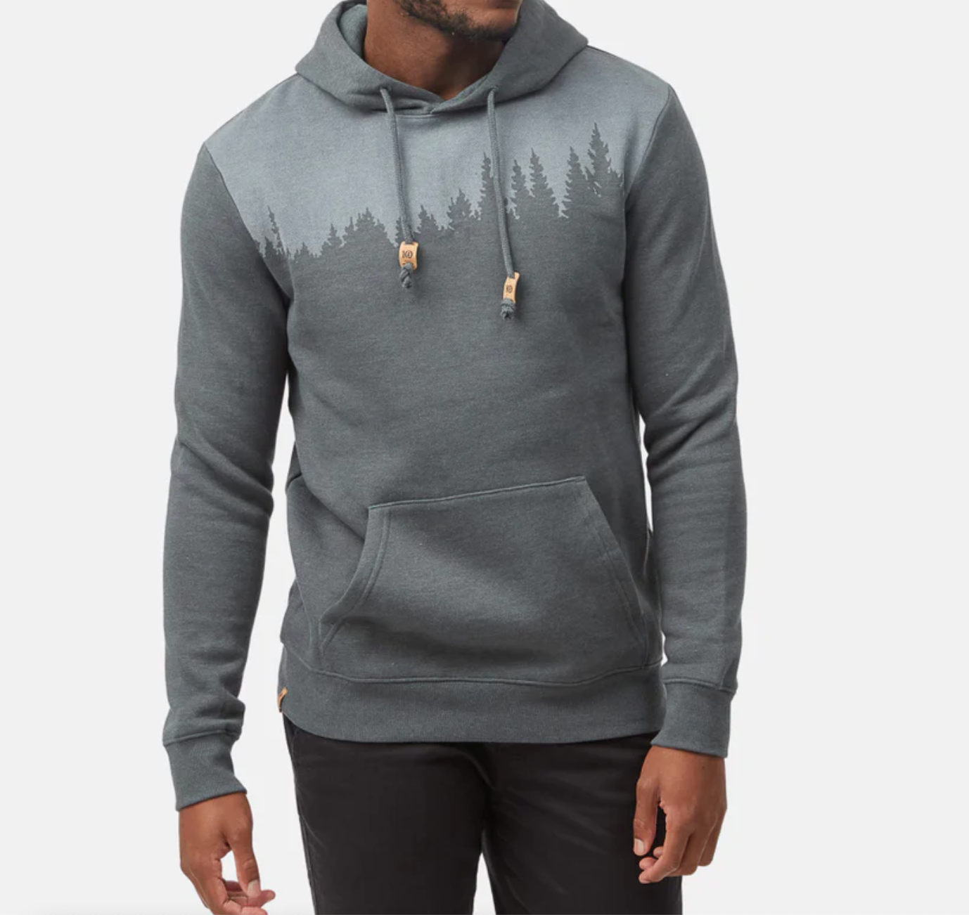 Tentree best sale constellation hoodie